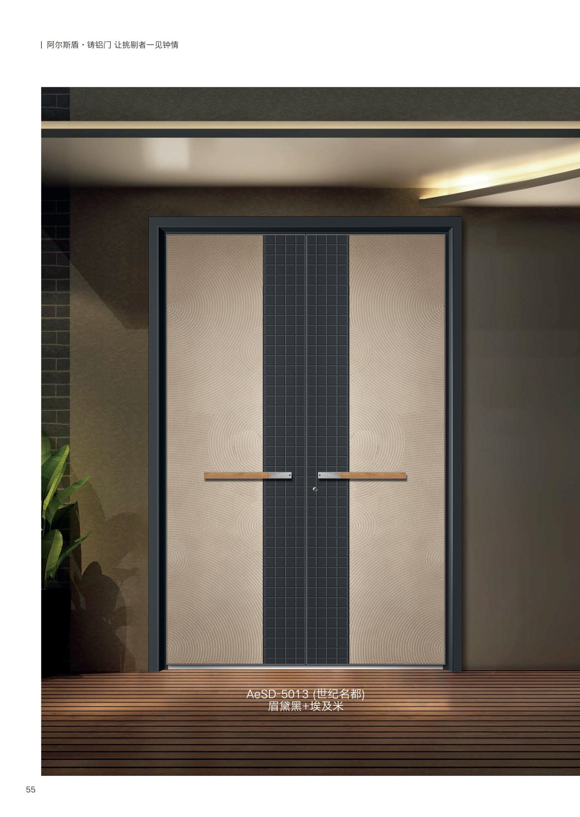 阿尔斯盾AeSD-5013
